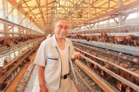 養鶏業が抱える課題に挑む　誰もが安心して食べられる卵を全国へ